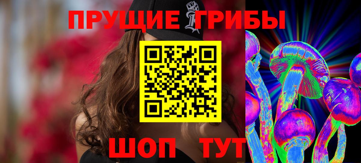 Псилоцибиновые грибы GOLDEN TEACHER Саратов