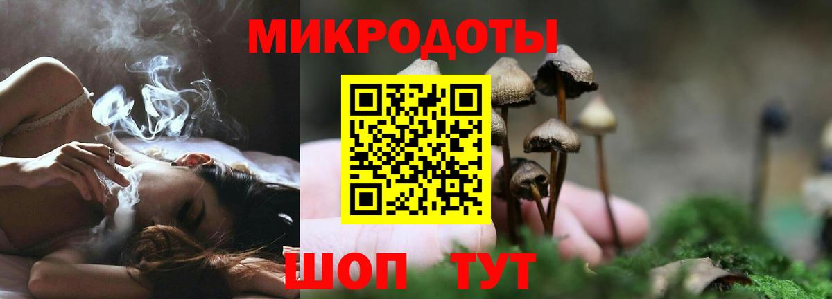 Псилоцибиновые грибы мицелий  Вход с VPN  Саратов 
